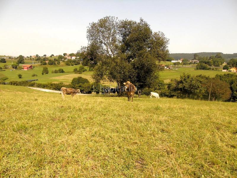 Foto e534127c-71a1-42d0-806d-450f807255ff. Terreny residencial a Ribamontán al Monte