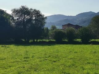 Terreny residencial a Saro. Terreno urbanizable con proyecto