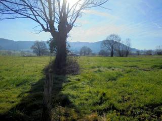 Propriété à Penagos. Terreno rustico en penagos