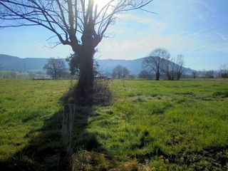 Propriété à Penagos. Terreno rustico en penagos