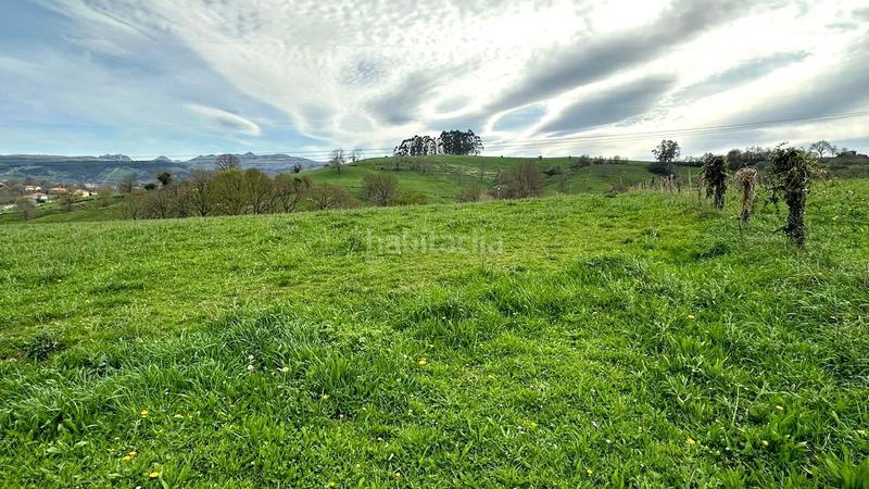 Foto b6ae223d-3630-4edc-ba9f-3c2344d02a84. Terreny residencial a Villaescusa