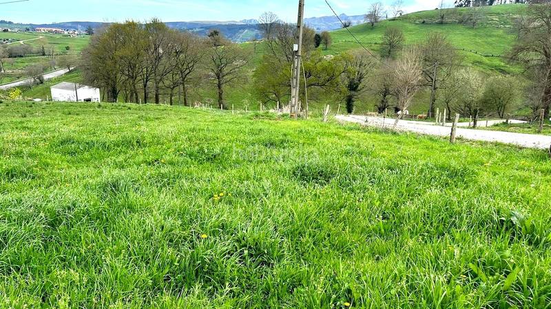 Foto c8a87491-8cf1-447f-af53-7f3f31a354a8. Terreny residencial a Villaescusa