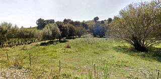 Finca rústica a Oruña. Finca rústica de mas de 4.000 m2 totalmente vallada en oruña de