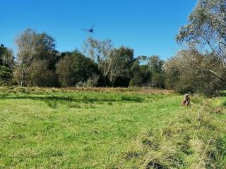 Finca rústica a Santa María de Cayón. Terreno rustico