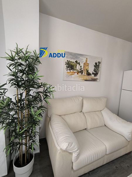 Foto 51051004-742f-48ae-899c-cc08e08636fb. Alquiler piso  en alquiler en centro magdalena, 1 dormitorio. en Sevilla
