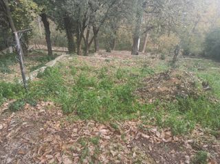 Terreno residencial en Riells i Viabrea. Terreno residencial