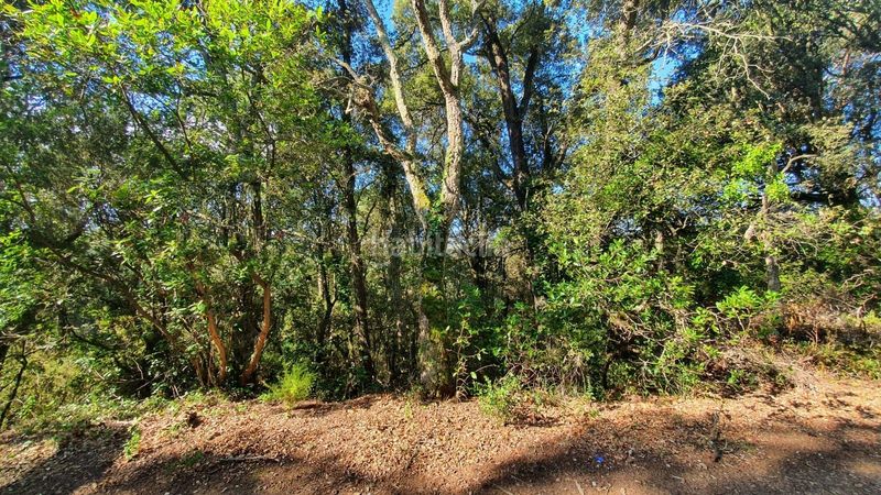 Foto 6ad5220f-d41a-405f-a0e9-b160f642ef71. Finca rústica a Sant Celoni