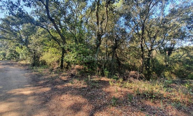 Foto 829e8d09-3e7d-4b4b-b54d-9a809b0886ed. Finca rústica a Sant Celoni