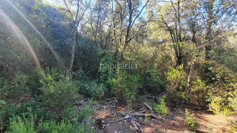 Foto 8e5b2e85-f362-456f-a1f9-4d9cdd6f2a78. Finca rústica a Sant Celoni