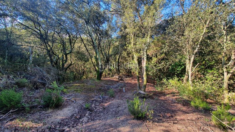Foto e6b42192-c00a-489b-803d-6f537796d135. Finca rústica a Sant Celoni