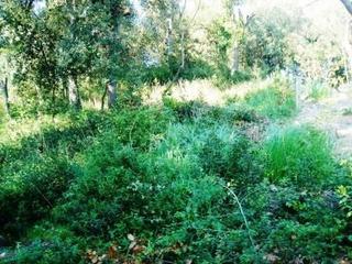 Terreno residenziale in Santa Maria de Palautordera