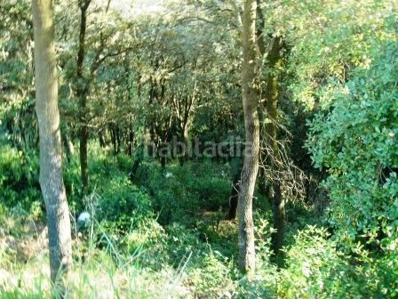 Foto 4f7beac3-0189-4143-b06e-4903b4463604. Wohngrundstück in Gualba