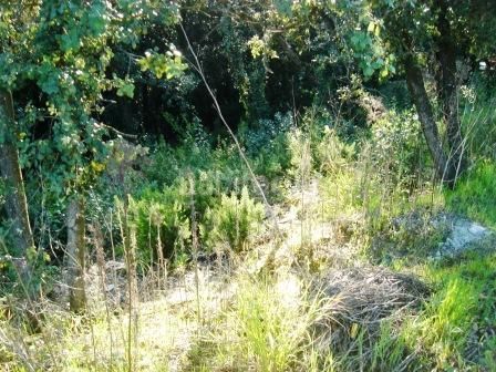 Foto c75ad75a-e43f-4710-80fe-adb08c56c636. Wohngrundstück in Gualba