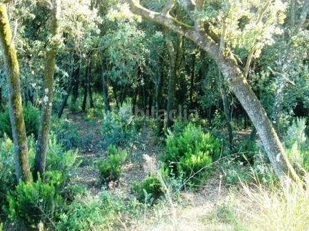 Foto f785f589-068f-447c-ac52-d66c722ebb9d. Wohngrundstück in Gualba