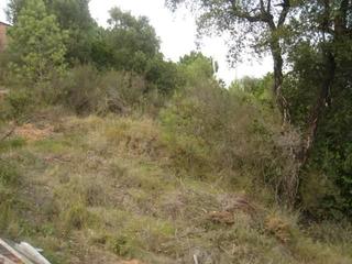 Terreny residencial a Riudarenes. Parcela en riudarenes urb. can fornaca.