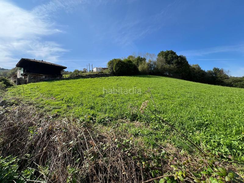 Foto 88d278ad-1699-4900-a070-97d0013f3a45. Finca rústica en aldea las cabañas 10 en Bimenes
