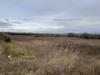 Finca rústica  Calanda. Finca rustica en venta en alcañiz