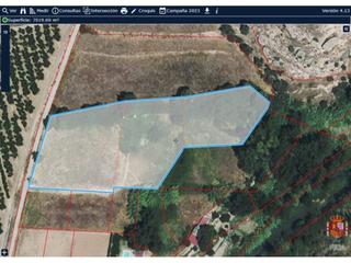 Finca rústica  San antonio. Se vende finca de regadio de 7019 m2 ideal para masico