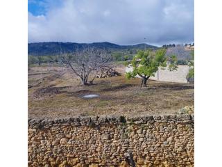 Terreny residencial a Aragón 36. Venta de solar urbano en torrevelilla