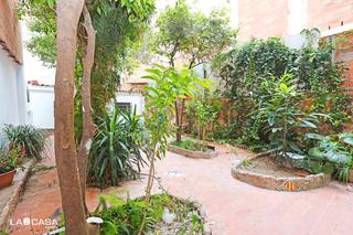 Planta baixa  Calle pau torres