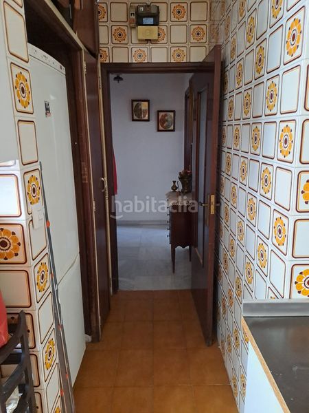 Foto 885b629a-029d-4fda-aa1e-0b681efb2e60. Pis a San Pablo Sevilla