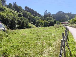 Propriété  Juan debia. Venta de terreno
