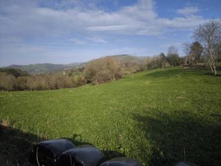 Finca rústica  Pedroso. Venta de terreno