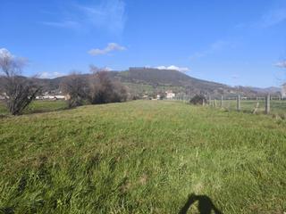 Finca rústica  Argomilla. Venta de terreno