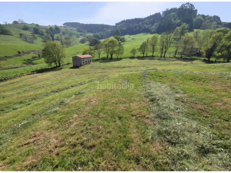Foto 5fdd38f3-81f0-4e9e-a1c5-8e4a35842a46. Finca rústica a Villafufre