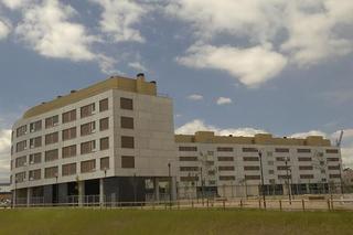Location Local commercial à Sofia erreginaren hiribidea 88. Modalidades: venta, alquiler y alquiler con opción de compra.