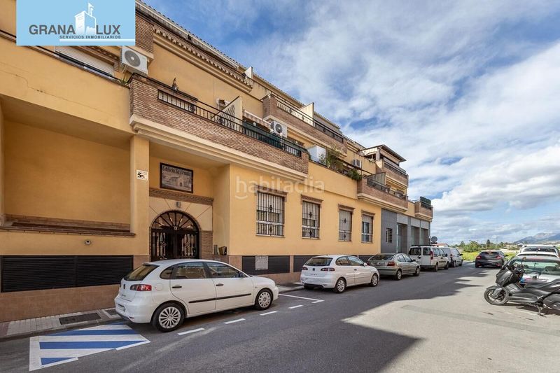 Foto cb1028a1-70fc-46b4-b82b-0ed91b69871b. Pis a Atarfe