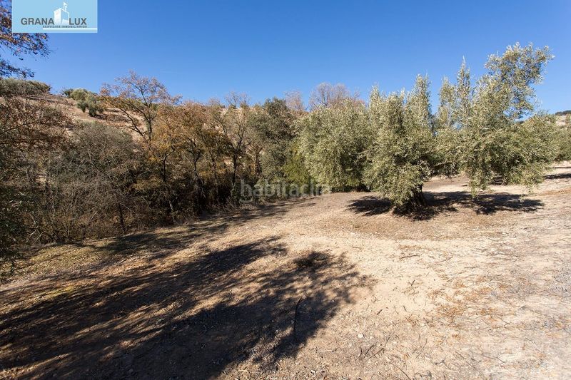 Foto 0c9a69af-e587-48d8-9f15-49373e2e329c. Finca rústica a Campotéjar