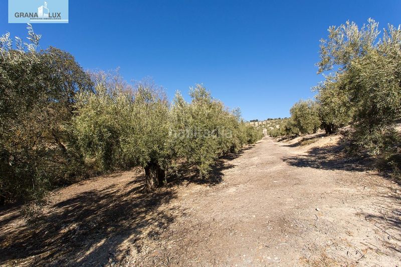 Foto 0f375df1-b927-494a-9684-7ca98a065054. Finca rústica a Campotéjar