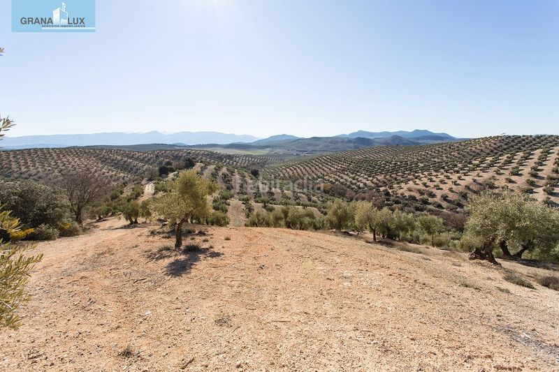 Foto 4c0fde2d-d29c-4635-ae4e-12e4388fd6e8. Finca rústica a Campotéjar