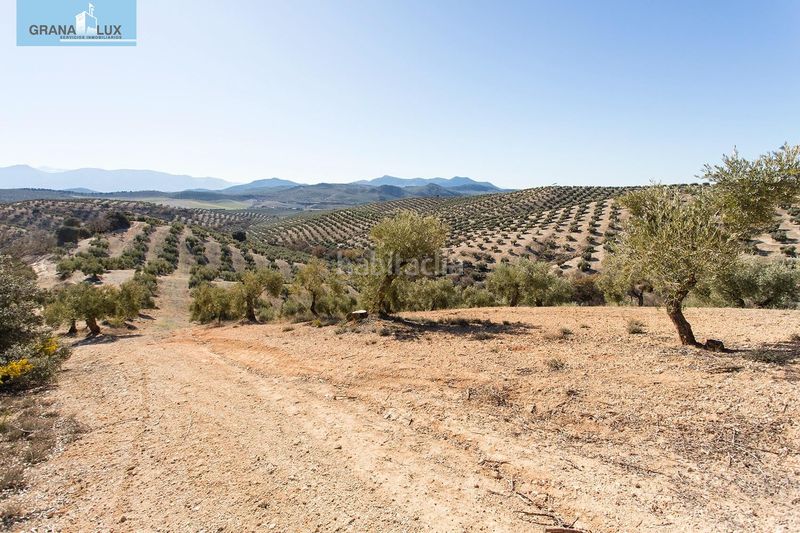 Foto 4e6a08cf-fec1-48ca-87bf-a8ec57615b86. Finca rústica a Campotéjar