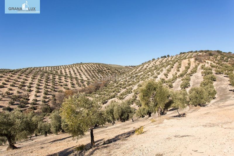 Foto 7154cf52-f7e3-4d1a-a9a6-6e2c77ada844. Finca rústica a Campotéjar