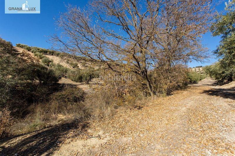 Foto 72d00392-1357-4948-9055-cfff33e3acd6. Finca rústica a Campotéjar