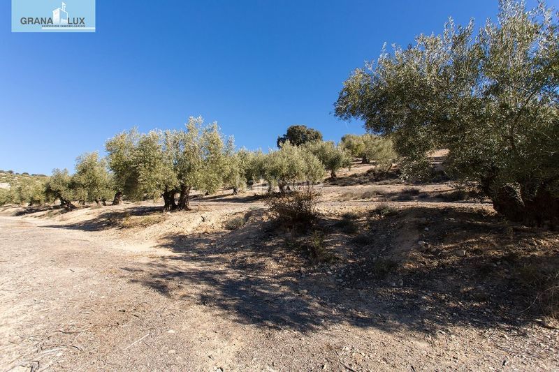 Foto 7c0de901-9813-4376-94f5-7471464a1173. Finca rústica a Campotéjar