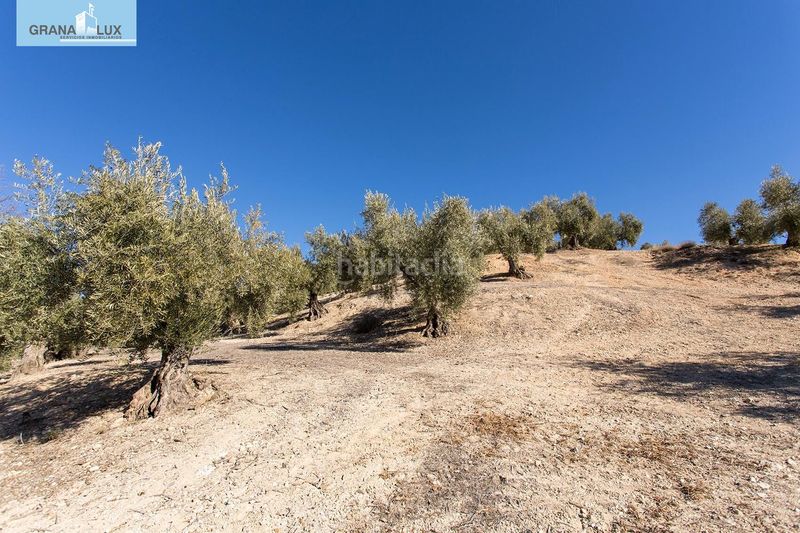 Foto 8a2999a8-cb21-4eb0-97cf-fb1f0ef9c084. Finca rústica a Campotéjar