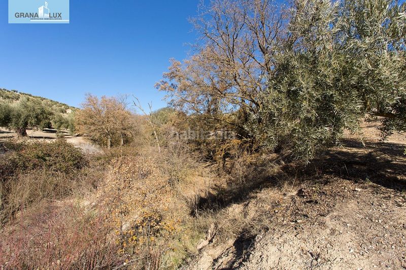 Foto 9c9b9c80-6f1a-4d06-8558-fa6c2e2e76d5. Finca rústica a Campotéjar