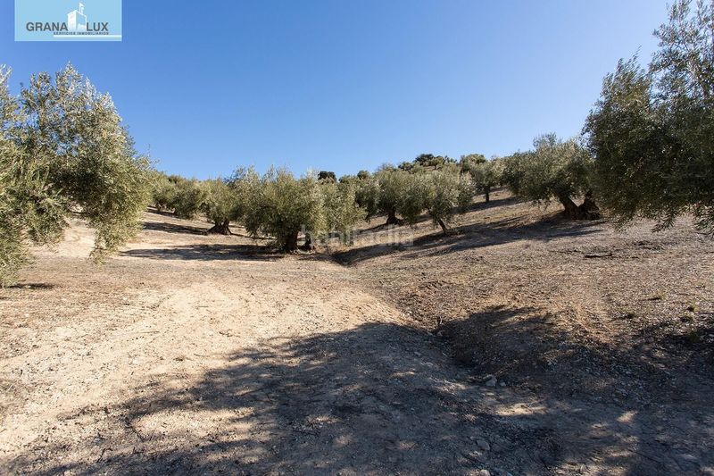 Foto b303a53b-057d-4f2d-bb1c-4dda8a9f9067. Finca rústica a Campotéjar