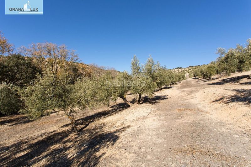 Foto deb5795a-b93e-4779-aa10-a25f5c6b2ee7. Finca rústica a Campotéjar