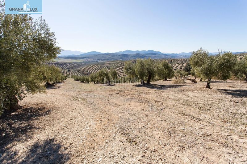 Foto e13b3c84-8fe8-4259-8742-e61e6b589a27. Finca rústica a Campotéjar