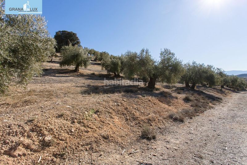 Foto f4e2a166-c8e3-407e-bbca-2b10dfc9ff30. Finca rústica a Campotéjar