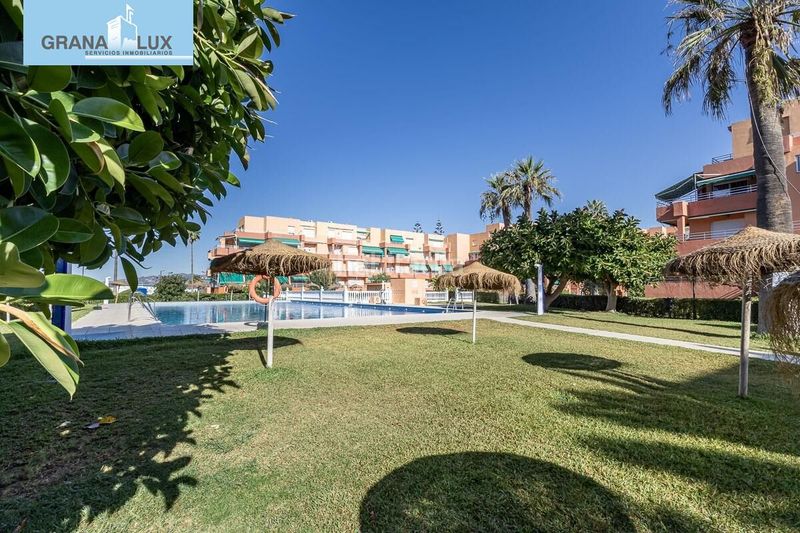 Foto d42a691c-7630-40be-9d4f-b106bc945afe. Dúplex amb piscina a Salobreña costa Salobreña