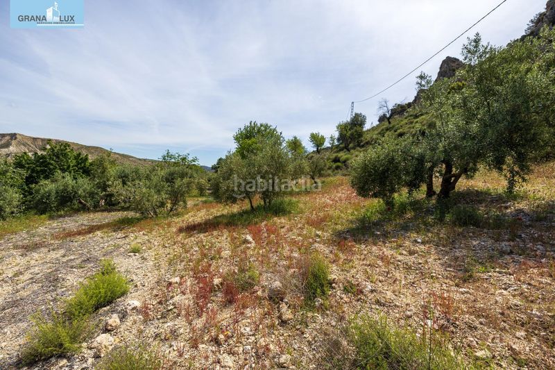 Foto ed42370a-cad5-42fe-abae-28aec6c5ac5d. Xalet a Peza (La)