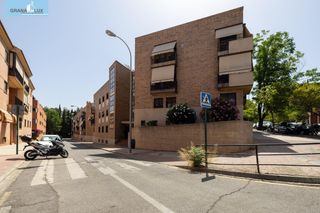 Pis  Calle laguna de la mosca