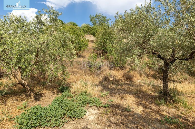Foto b8f10459-5b14-4ca9-aba2-69a91645d3af. Finca rústica a Villa de Otura