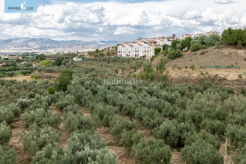 Foto bd892424-a892-4eda-b9cf-80090c6432fe. Finca rústica a Villa de Otura