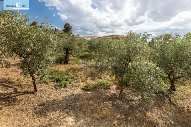 Foto c0dd61ac-cb58-4a49-a728-6b5a4579c030. Finca rústica a Villa de Otura